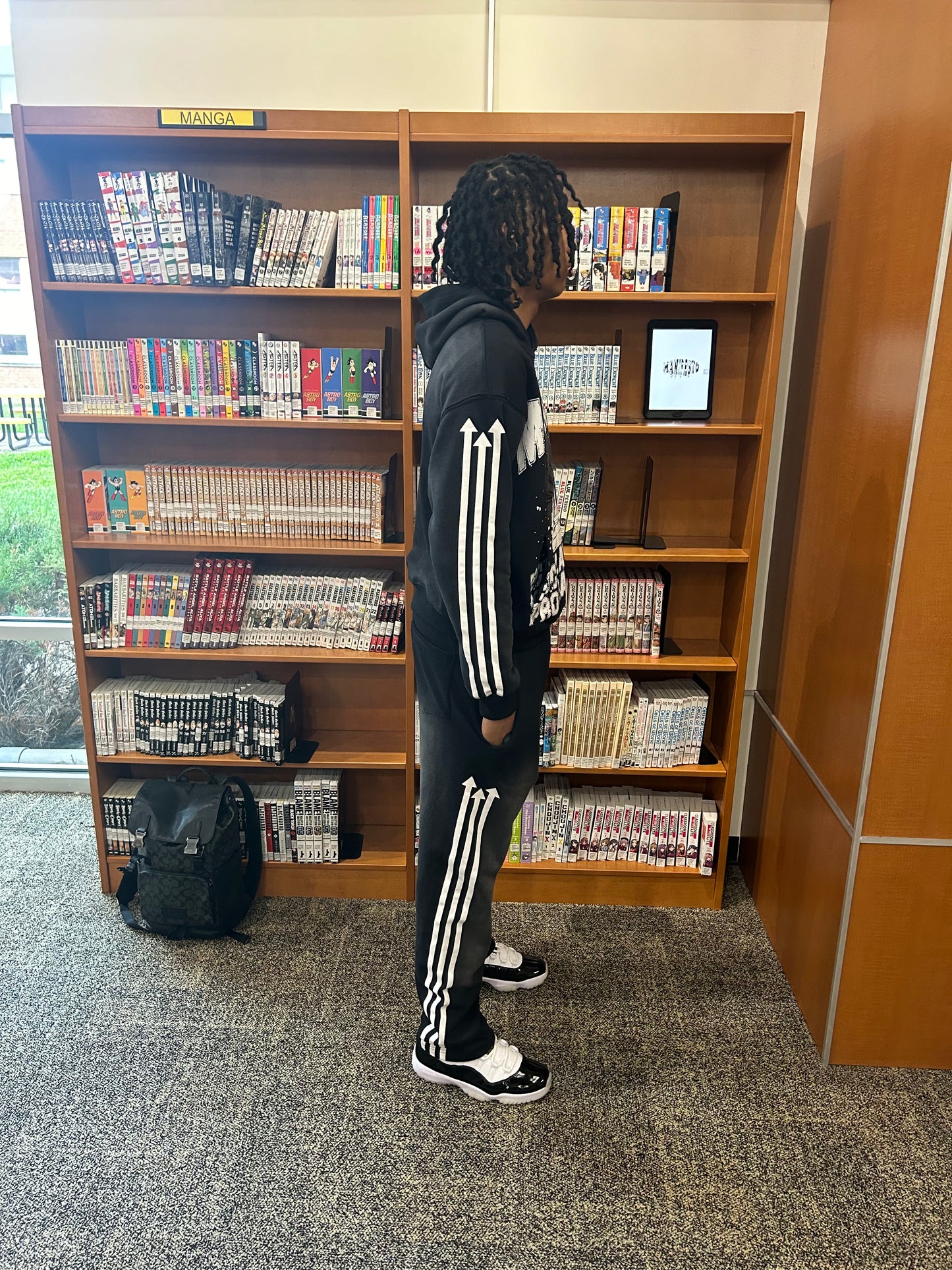 Walking Up Hoodie